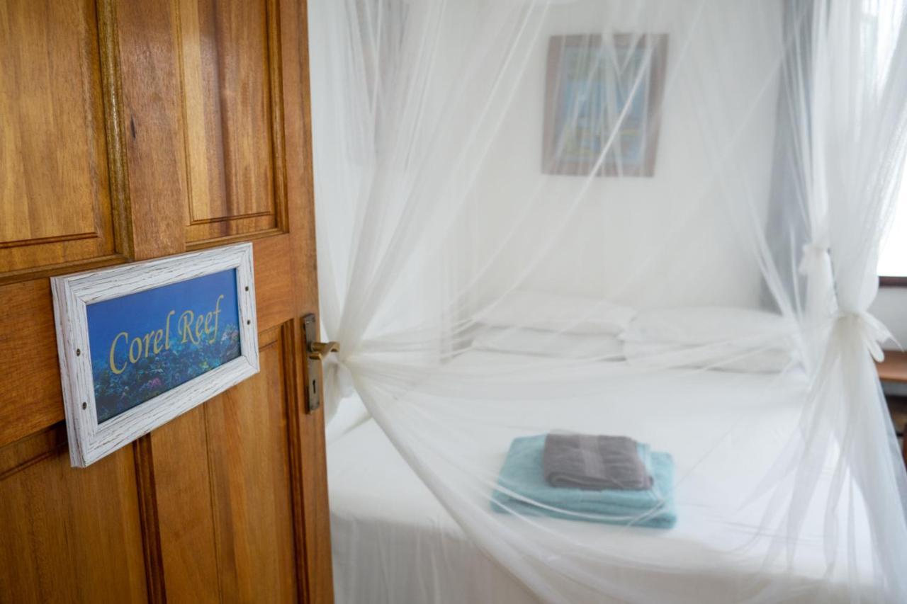 C-Mew Guest House Tofo Экстерьер фото